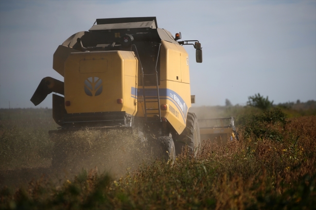 Soya verimi ve fiyatıyla çiftçiyi sevindirdi